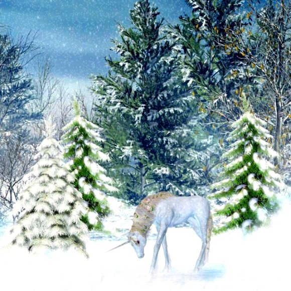 ℍ𝕒𝕡𝕡𝕪 ℕ𝕖𝕨 𝕐𝕖𝕒𝕣 - Picture 7 of 7